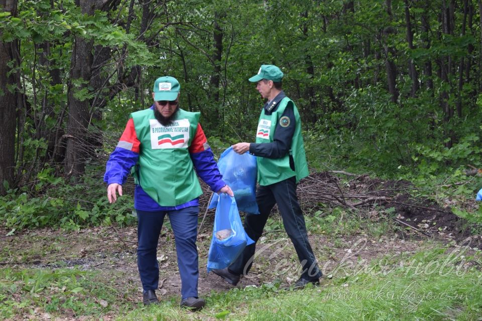 Привели участок Аксубаевского лесничества в полный порядок