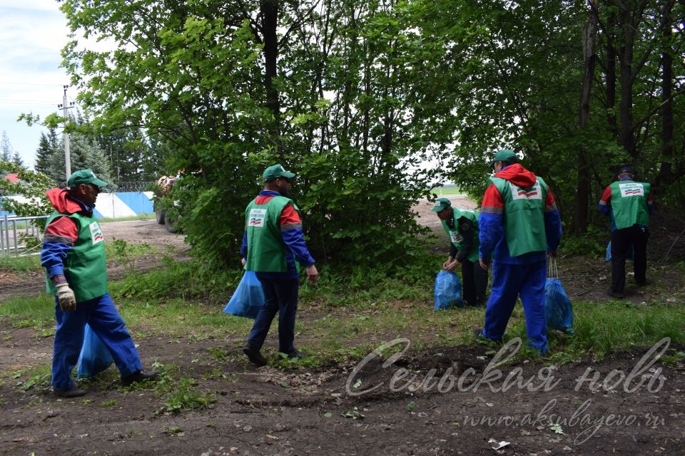 Привели участок Аксубаевского лесничества в полный порядок