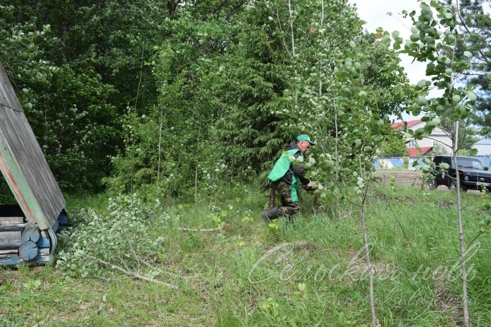 Привели участок Аксубаевского лесничества в полный порядок