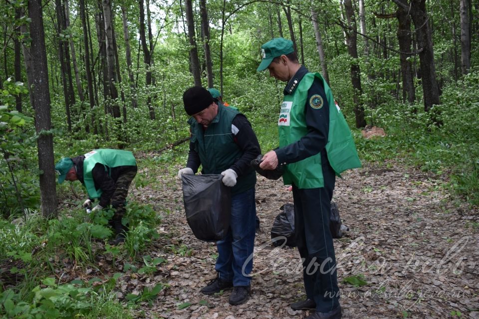 Привели участок Аксубаевского лесничества в полный порядок