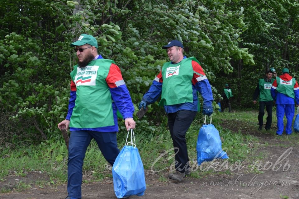 Привели участок Аксубаевского лесничества в полный порядок