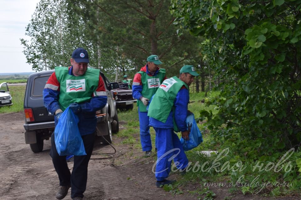 Привели участок Аксубаевского лесничества в полный порядок