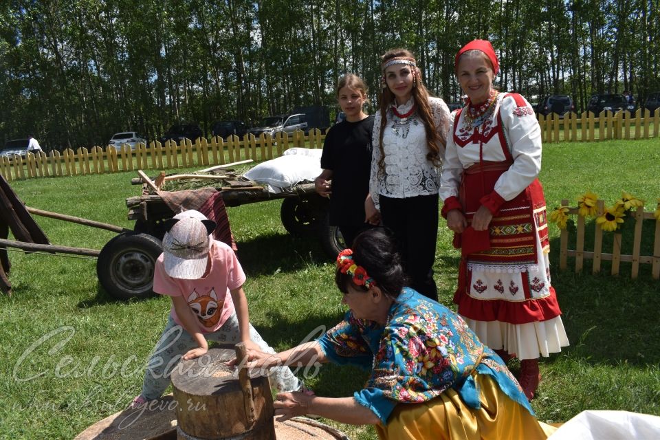 Фоторепортаж аксубаевского Сабантуя