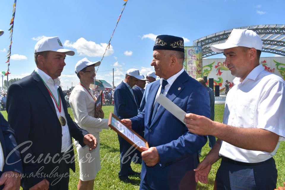 Фоторепортаж аксубаевского Сабантуя