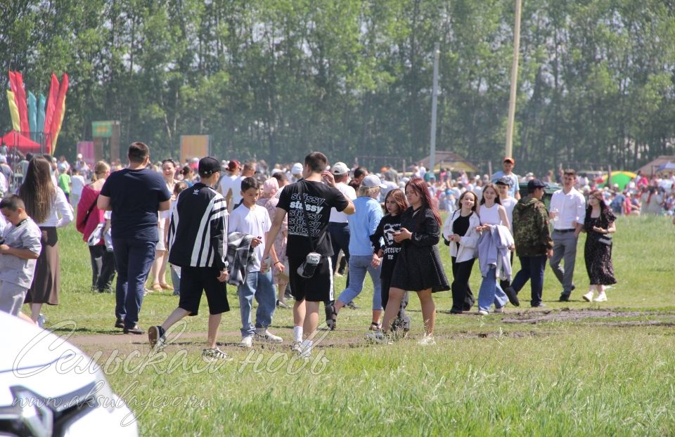 Фоторепортаж аксубаевского Сабантуя