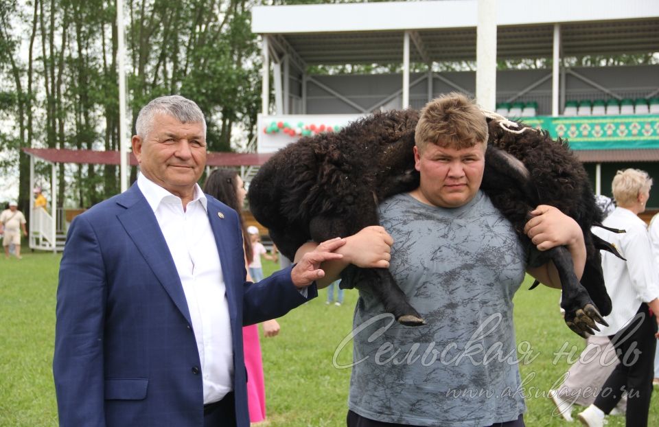 Фоторепортаж аксубаевского Сабантуя