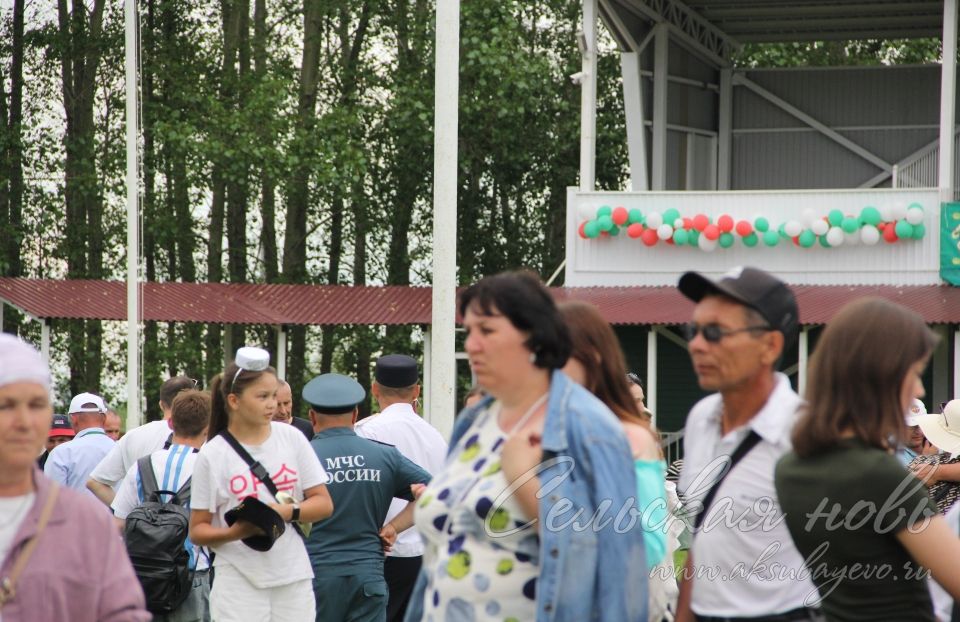 Фоторепортаж аксубаевского Сабантуя