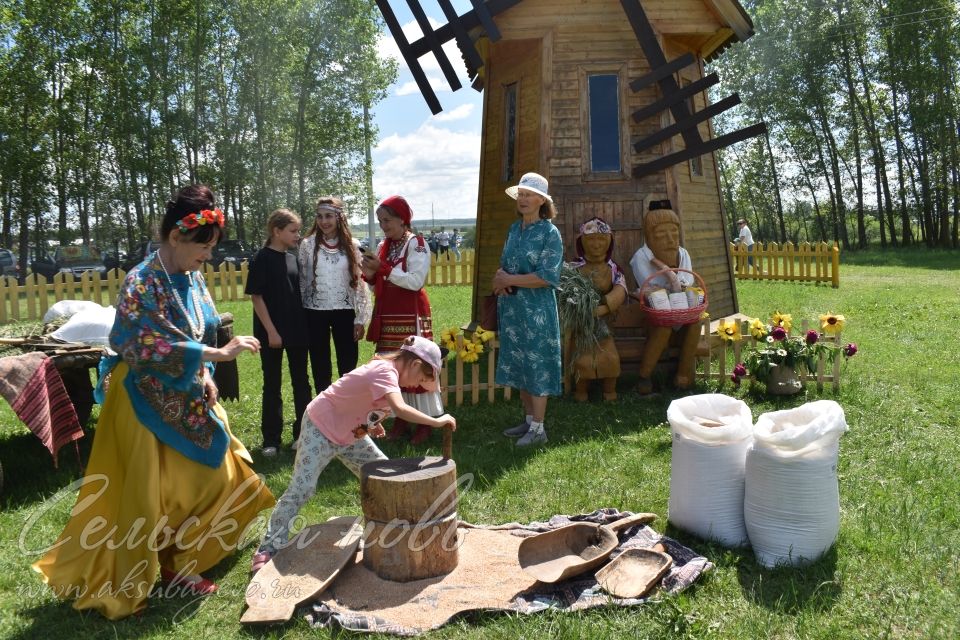 Фоторепортаж аксубаевского Сабантуя