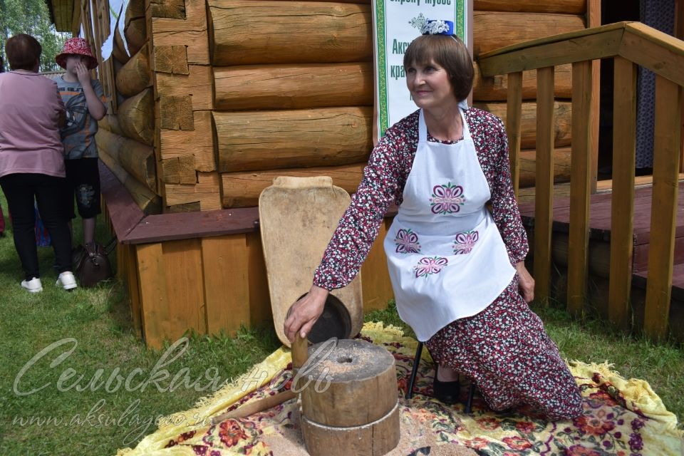 Фоторепортаж аксубаевского Сабантуя