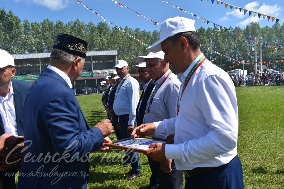 Фоторепортаж аксубаевского Сабантуя