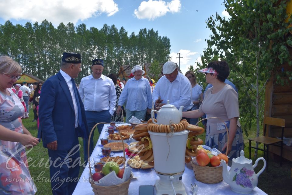 Фоторепортаж аксубаевского Сабантуя