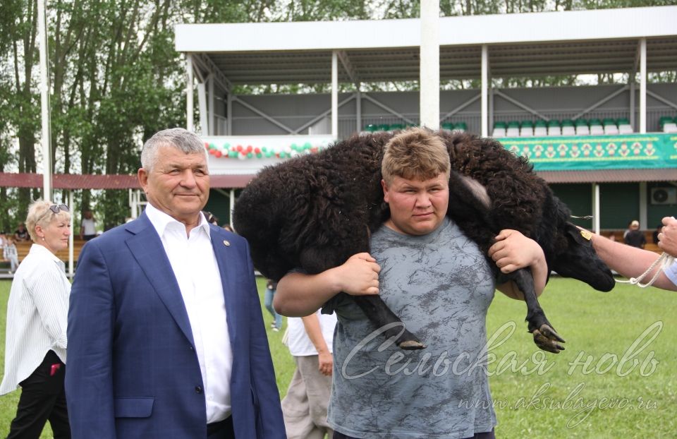 Фоторепортаж аксубаевского Сабантуя