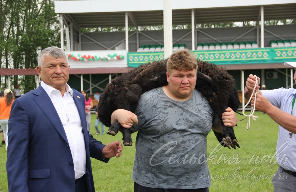 Фоторепортаж аксубаевского Сабантуя