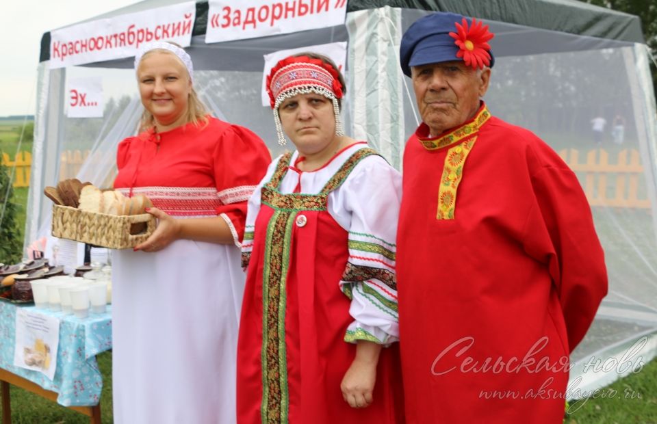 Троицкие хороводы в Аксубаеве, 15 июня 2025