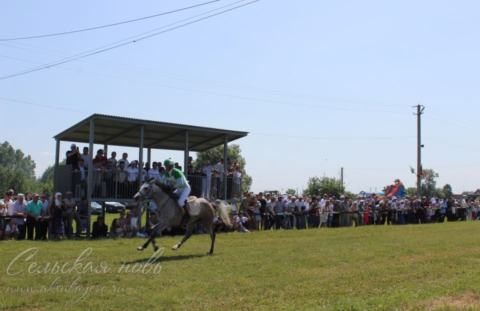 Аксубайда 2025 ел Сабан туе: якты халык традицияләре