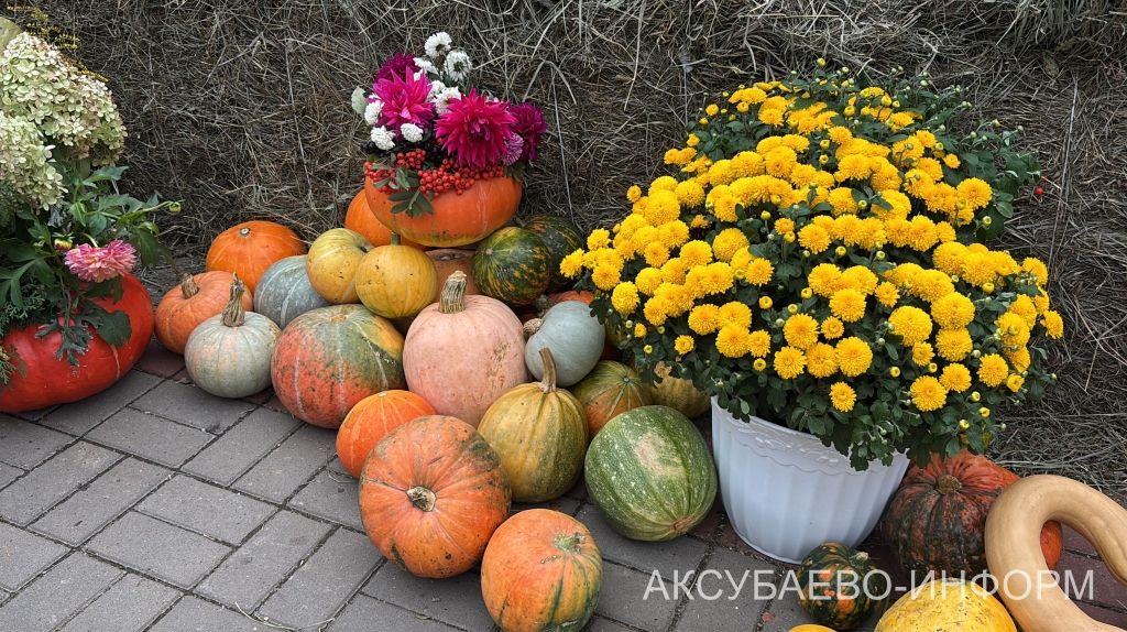 Осеннее золото Аксубаева: тыква с медом порадовали жителей 11.09.2026