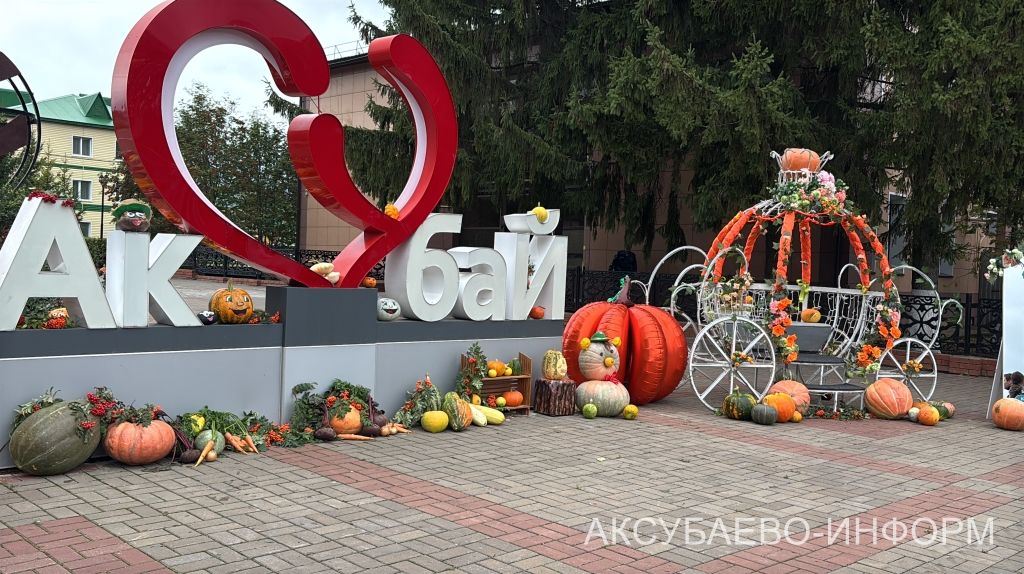 Осеннее золото Аксубаева: тыква с медом порадовали жителей 11.09.2026