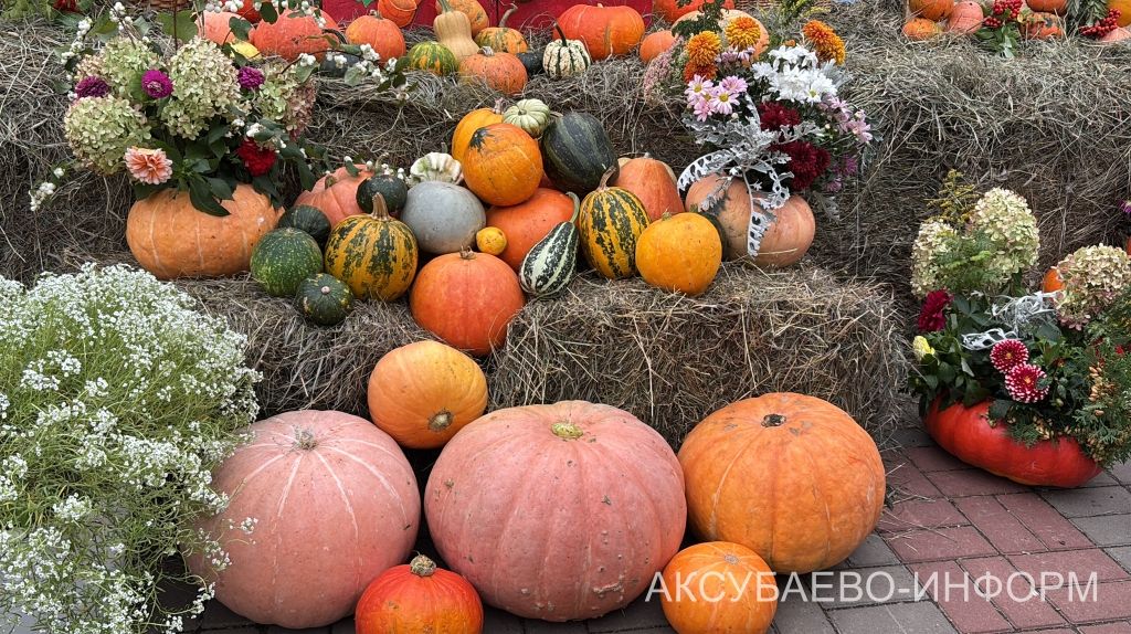 Осеннее золото Аксубаева: тыква с медом порадовали жителей 11.09.2026