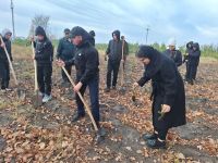 Школьники высадили в питомнике лесничества ель и рябину