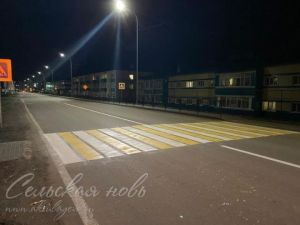 В Аксубаевском районе проходит операция «Пешеход»