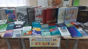 В Аксубаевскую библиотеку поступили новые книги
