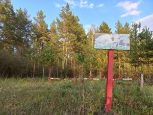 Аксубаевские леса посещать нельзя