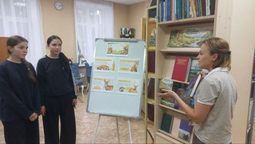 В Аксубаевской библиотеке поговорили о бережном отношении к природе