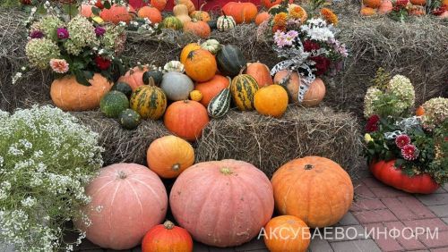 Тыквы можно хранить даже дома: 5 подходящих мест