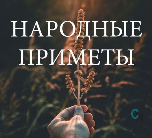 Народные приметы на 5 сентября: что предсказывает погоду и каким будет начало осени