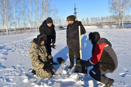 Аксубай басуларында уҗымнар уңышлы кышлый