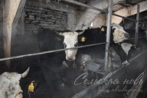 Своим трудом помогают сохранять деревни