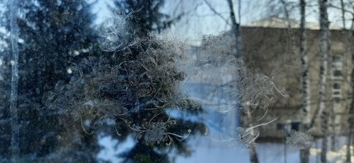 Прогноз погоды на 24 января