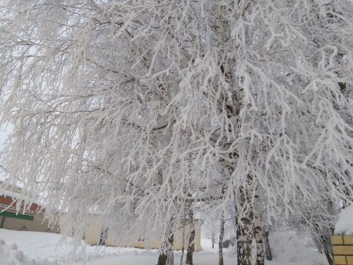При сильных морозах после новогодних каникул в школах Татарстана отменят занятия