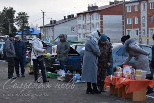 Аксубаевцы пополнили зимние запасы на сельхозярмарке