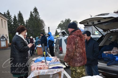 Аксубаевцы пополнили зимние запасы на сельхозярмарке