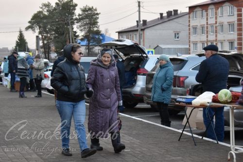 Аксубаевцы пополнили зимние запасы на сельхозярмарке