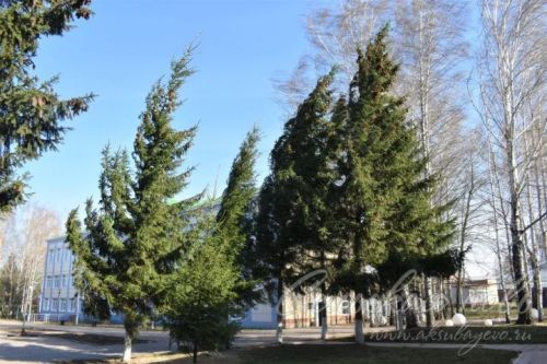 МЧС по РТ предупреждает об интенсивности метеорологических явлений в Татарстане