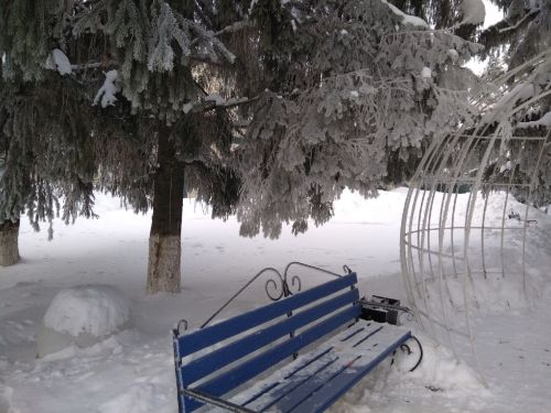 Прогноз погоды на 11 декабря