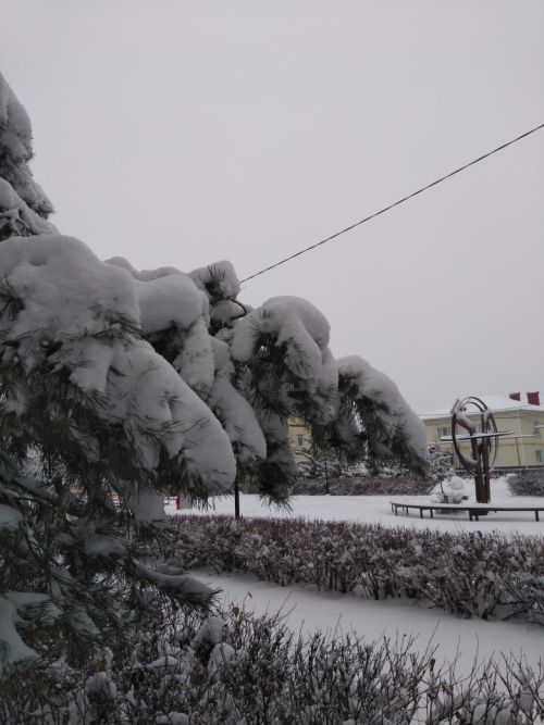 Прогноз погоды на 23 декабря