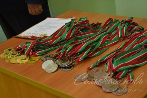 Аксубаевские пловцы завоевали золотые медали