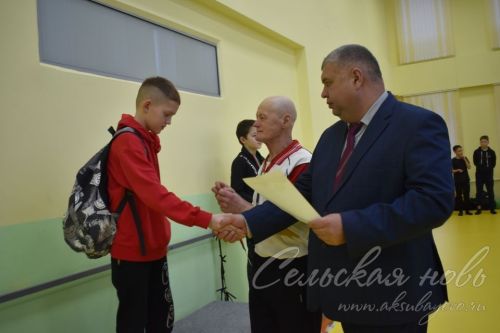 Аксубаевские пловцы завоевали золотые медали