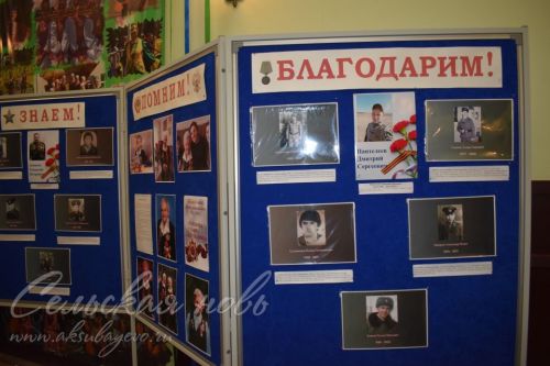 В Аксубаеве защитникам Отечества посвятили благотворительный концерт
