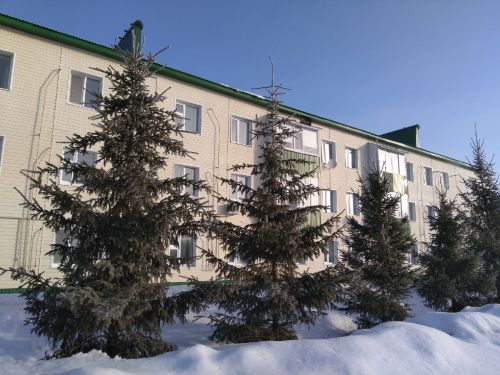 Народные приметы на 8 февраля