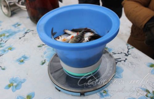 Аксубаевские рыбаки закрыли зимний сезон соревнованиями