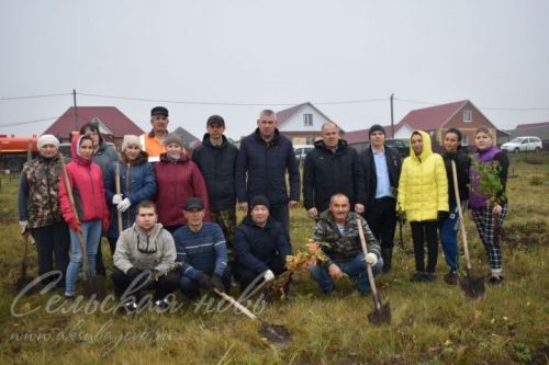 В память о погибших в годы Великой Отечественной в Татарстане посадят миллион деревьев