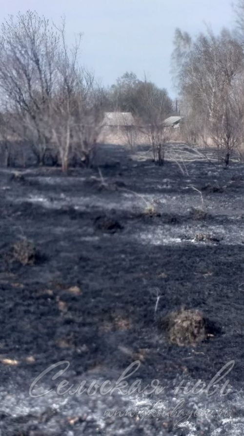 За три дня в Аксубаевском районе произошло пять пожаров, отработаны четыре термоточки