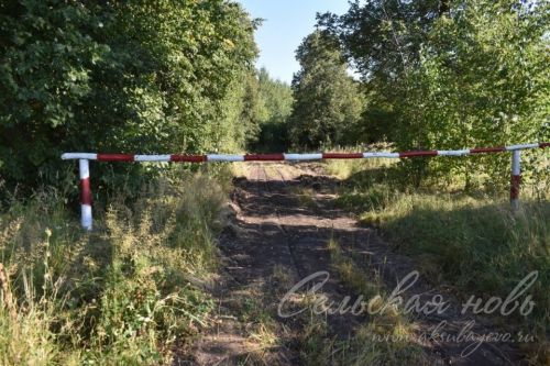 В Аксубаевском лесничестве въезд в лес запрещен