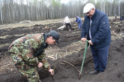 Аксубайлылар «Хәтер бакчасы» акциясенә кушылды