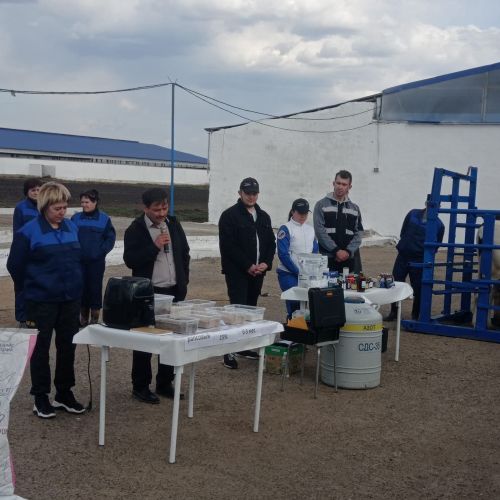 Аксубай терлекчеләрен Алексеевскта терлекчелек буенча зональ семинарда билгеләп үттеләр