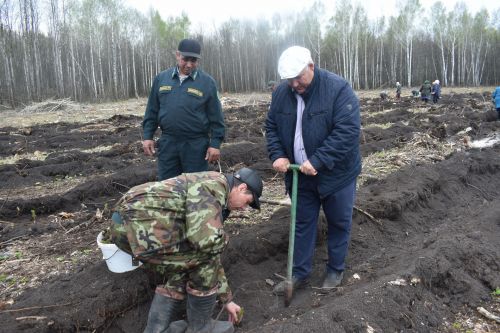 Аксубайлылар «Хәтер бакчасы» акциясенә кушылды